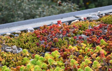the cost of North Oakley green roof installation