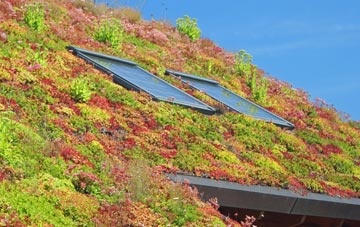North Oakley living roof systems